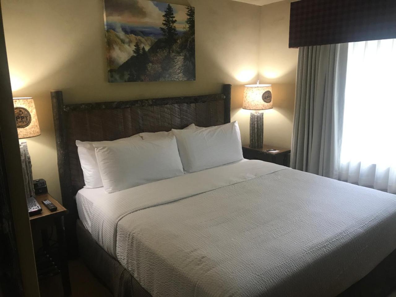 The Appy Lodge 개틀린버그 외부 사진