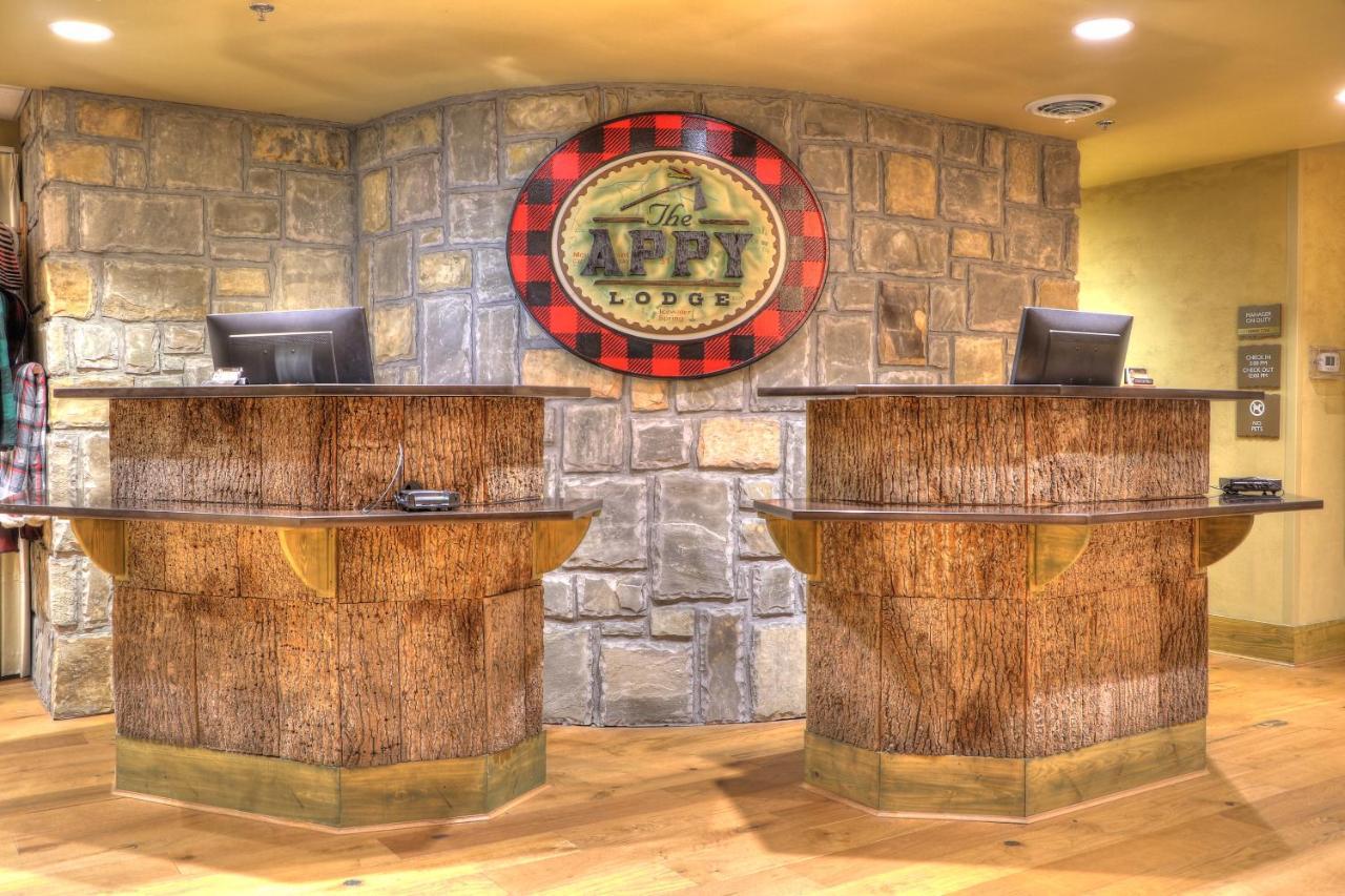 The Appy Lodge 개틀린버그 외부 사진